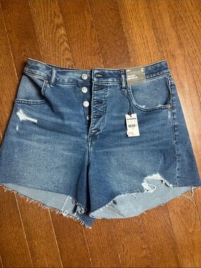 Express Button-Front Distressed Jean Shorts in Blue